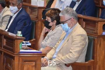 Pleno ordinario de julio de 2022/Francisco Javier Santana.